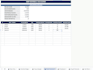 provide a detailed budget, debt snowball calculator, and net worth planner