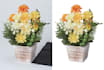 do 99 photo background removal and fast delivery