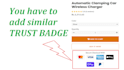 review and audit shopify website for more sales