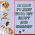 write SEO optimized and engaging pet and veterinary articles