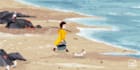 draw hand drawn children book illustration