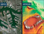 create maps and also web maps