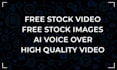 convert blog post, article or text to video with voice over