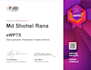 advanced penetration test and vulnerability assessment for your web application