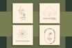 design botanical boho, floral, hand drawn, minimal, celestial logo in 24 hours