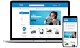 create profitable ecommerce or shopify business website