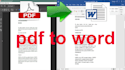do error free PDF conversion 12 hours