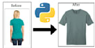 develop your python bot, script, backend, web application, or ai