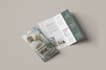 design professional brochures and flyers