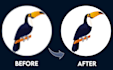 vectorize and redesign your logo, sketch, or image
