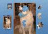 create a Digital Jigsaw Puzzle of your Pet