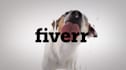 make funny dog licking video with your logo