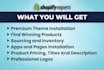 build automated shopify dropshipping store or shopify website