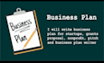 develop investor ready business plan with a professional financial projections