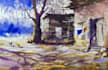 create watercolor painting illustration