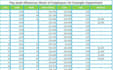 create excel, google sheets, reports, and balance sheet