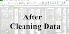 do ms excel or CSV data cleaning, formatting, organize, remove duplicate data