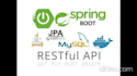 do any java,j2ee,spring mvc,spring data,restfull api tasks