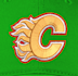 do awesome puff 3d embroidery digitizing in few hours