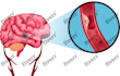 illustrate scientific, medical, educational, biology, anatomy
