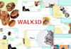 design powerpoint canva  prezi presentations