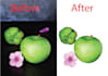 do professional transparent clean and clear background removal