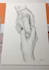 create a perfect and precise pencil drawing of hands