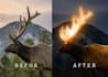 do professional photo manipulation on one image