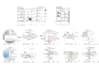 do drafting ,detail working drawing ,section , elevation