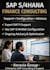provide sap s4hana finance consulting and enterprise support