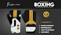 do professional boxing gloves designs