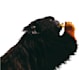 edit your pictures top bildbearbeitung nach wunsch