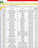 professional excel data analysis and management solutions