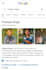 create a google knowledge panel