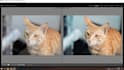 edit your photos in adobe lightroom