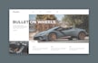 professionally develop creative website and landing page