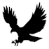 design a meaningful professional eagle logo in 24 hours