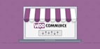 craft your digital presence, expertly build websites