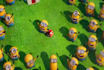 add logo and text in animated minion video