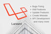 fix bugs and security issues in laravel application