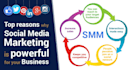 provide on page and off page seo services