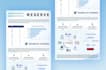 design one pager, executive summary, long onepager