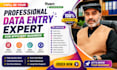 do professional data entry expert for efficient business
