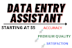 do data entry in excel accurately and also web search