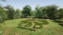 do cinematic eco friendly nature 3d rendering animation intro video from logo