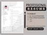professional resume writing, cv writing, edit, rewrite