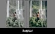 create unique lightroom presets for you like instagram