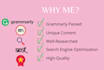 write SEO friendly blogs and articles