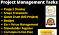 write project management document like project charter, gantt chart