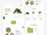 professional ui ux design for your website design